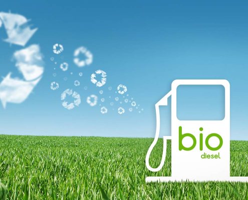 bio-diesel fuel